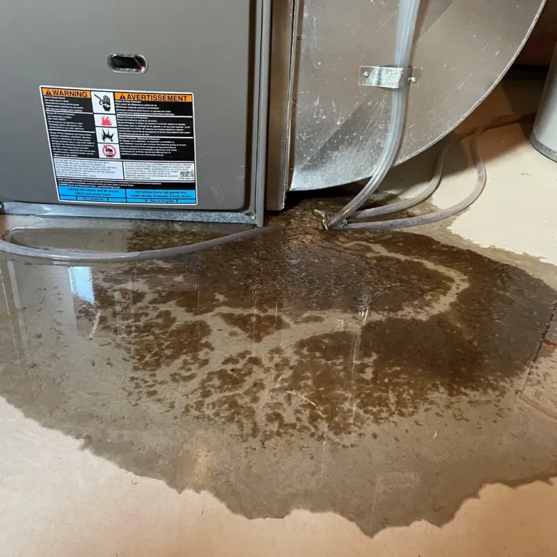 Appliance Leak Cleanup in Osceola, IN